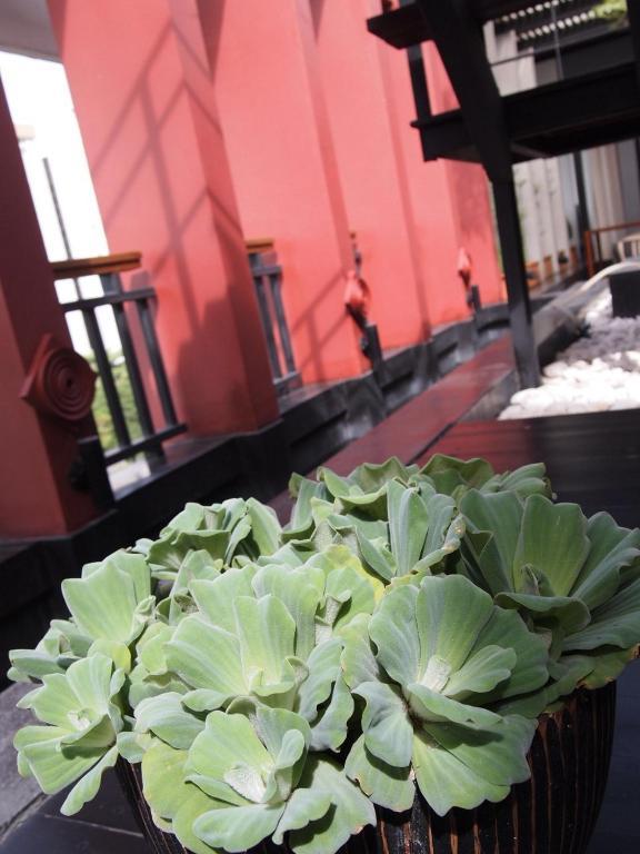 Loogchoob Homestay Bangkok Kültér fotó